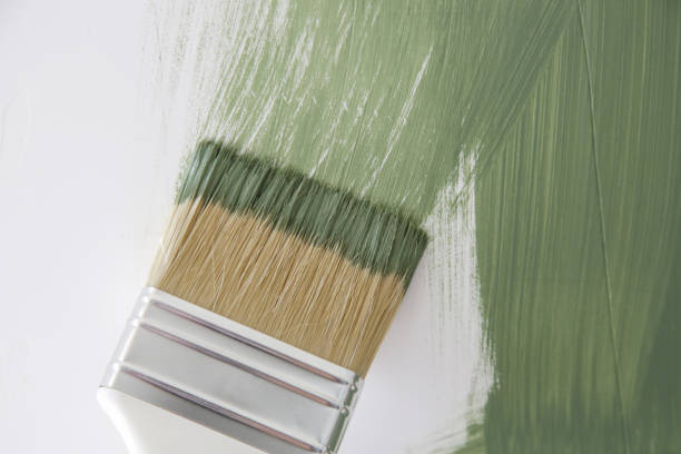 Dehumidification Services in Waco, TX
